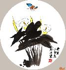 中国画・马蹄莲团扇