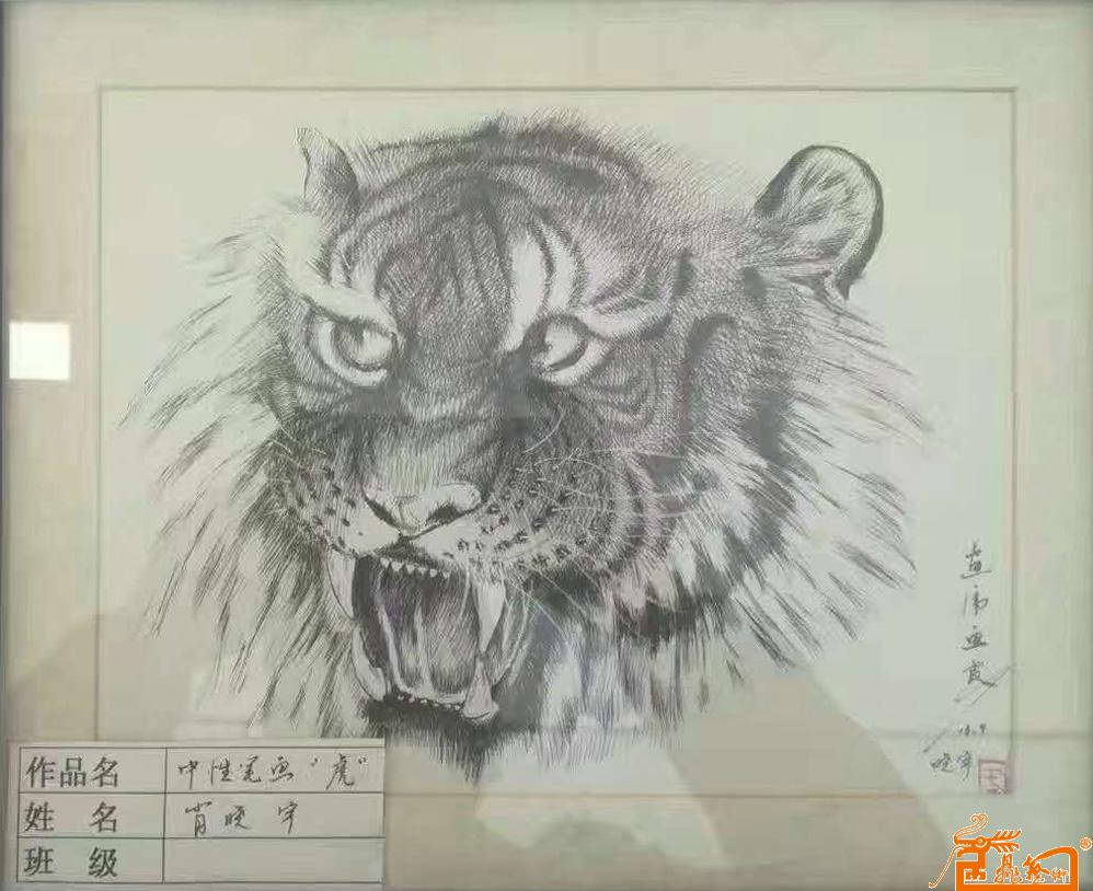 中性笔画“虎”